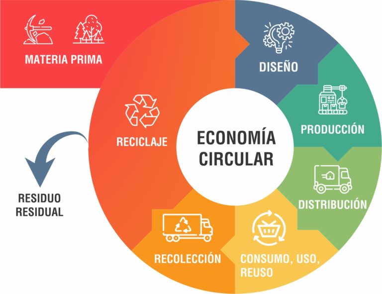 ¿Qué es la economía circular y cómo aprovecharla?